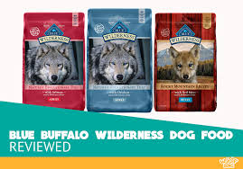 blue buffalo wilderness dry dog food review our review for