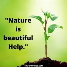 Scientists suggest that there should be at least 25% reserve forest (of the country's total area) in a country; 50 Slogans For Tree Plantation Events And Save Trees Initiatives Slogans To Save Trees Forest Thefunquotes