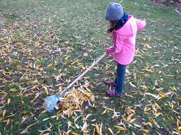 Pentru a te ajuta, am făcut o selecție ce conține fișe cu fructe, potrivite pentru preșcolari și școlari din clasele primare. SÄƒ ProtejÄƒm Natura 7 Idei Ale Emei