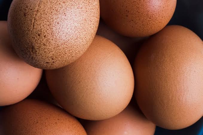 egg