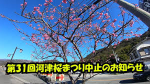 Последние твиты от つつけん@伊豆へようこそ!河津観光pr大使youtuber (@4mini_tsutsuken). æ²³æ´¥æ¡œ 2021å¹´ç¬¬31å›žæ²³æ´¥æ¡œã¾ã¤ã‚Šä¸­æ­¢ã®ãŠã—ã‚‰ã› Youtube