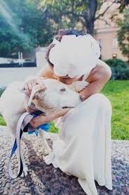 brek brek brek outdoor los angeles wedding flower girl dog dog wedding
