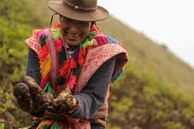 Indigenous culture is quite a rare and popular topic for writing an essay, but it certainly is in our. The Walkers And The Renaissance Of Indigenous Culture In Peru Resilience