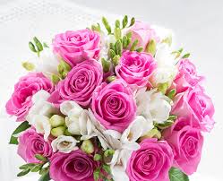 Browse through our online flower collection and select the one you like we will ensure your recipient receives fresh flowers. Send Flowers Online Cheaper Than Retail Price Buy Clothing Accessories And Lifestyle Products For Women Men