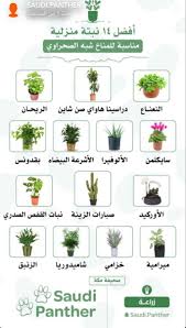 نباتات منزلية container herb garden plants trees to plant
