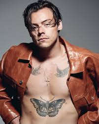 What is don't worry darling about? Harry Says Don T Worry Darling Know Everything About This New Thriller Videotapenews