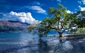 Neuseelands nationalparks umfassen über 30.000 quadratkilometer, voll gepackt mit wunderschöner natur, die nur darauf wartet erkundet zu werden. Herunterladen Hintergrundbild Neuseeland Sommer See Wakatipu Felsen Kuste Grun Baum Berge Besthqwallpapers Com Lake Wakatipu Cool Places To Visit Places To Visit