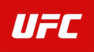 Heavyweight, for fighters 200 pounds and above, and lightweight, for those 199 pounds and under. Ufc Font Download Fonts