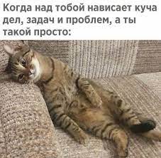 Фотоподборка вторника - Приколы - Шняги.Нет - познавательно-развлекательный  блог. Знаменитости, Юмор, Приколы, Видео