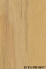 Image result for Julbernardia