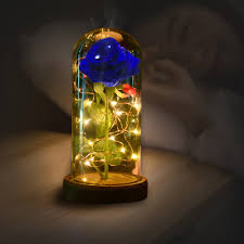 Maybe you would like to learn more about one of these? Romantis Bunga Mawar Alami 3 Tahun Diawetkan Mawar Biru Dan Led Light Dengan Jatuh Kelopak Dalam Kaca Kubah Pada Dasar Kayu Buatan Bunga Kering Aliexpress