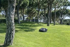 Fortunately, the right yard care products make that task a lot easier. The Best Robotic Lawnmowers Of 2018 Digital Trends Robotic Lawn Mower Lawn Mower Lawn Mower Brands