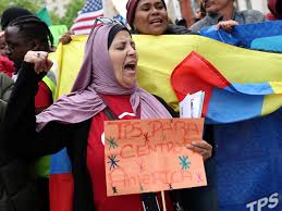 Court Judgement on TPS