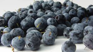 Yabanmersini, likapa, yabanmersini kurusu, organik yabanmersini. Acai Cileginin Faydalari Nelerdir Diyet Haberleri
