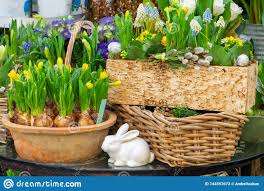 Pick individual gifts or build your own cancer care gift box. Spring Flowers Sold On The Street Flowers In Ceramic Pots Easter Fair On The Streets Of Vienna Stockbild Bild Von Blume Grun 144597673