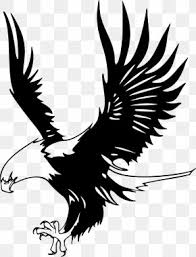 Check spelling or type a new query. Eagle Feather Law Images Eagle Feather Law Transparent Png Free Download