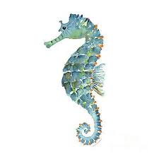 Amy Kirkpatrick Blue Seahorse Seahorse Art Seahorse Painting Seahorse Drawing
