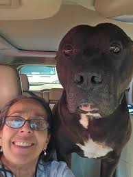 How's my morning, you ask? Well, I'm currently sitting at the laundr-o mat  washing my king sized bedding because my dog that you all love so much  decided to pee