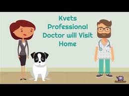 House call pet doctor is proud to serve newark, de and surrounding areas. Kvets At Home Veterinary Services Veterinary Doctor For Home Visit Vet On Call For Pet Youtube