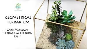 Sekarang banyak orang memelihara binatang eksotis di rumah: Succulent Terrarium Setup Cara Membuat Terrarium Terbuka Eps 1 Youtube