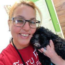 Grooming services for nervous pets in a calm environment