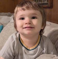 Trash Pickup Schedule in Oak Ridge North