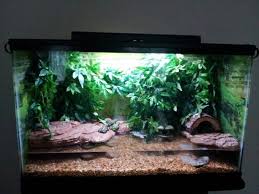 Best Red Eared Turtle Terrarium Tank Google Search Nel 2021 Terrario Acquario Tartarughe