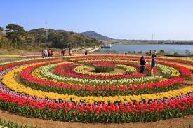 We did not find results for: 100 Kashmir Images That Will Make You Fall In Love With This Place Thomas Cook Blog
