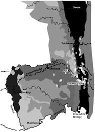 Image result for Cienfuegosia hildebrandtii