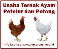 We did not find results for: Peluang Usaha Ternak Ayam Petelur Dan Ayam Potong Serta Analisa Modal Dan Keuntungannya Kerja Dan Usaha 2021 2022