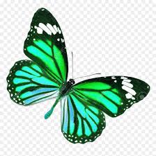 3d orange butterfly tattoo on chest. Blue Real Life Butterfly Png Download Purple Butterfly Tattoo Design Transparent Png Vhv