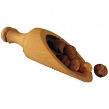 Image result for Scorodophloeus zenkeri