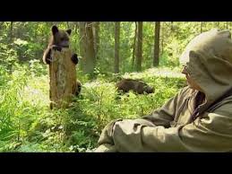 Accurate, relatively quiet, dependable, super smooth draw. Cute Baby Bears Instincts Youtube