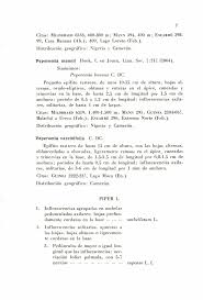 Image result for Pilea sublucens