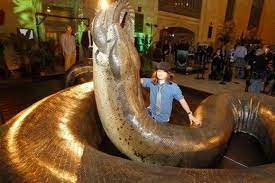 Titanoboa The Biggest Snake That Ever Lived Giant Snake World S Largest Snake Prehistoric Creatures