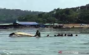 5 korban tenggelamnya km wicly jaya sakti ditemukan meninggal dunia. Perahu Wisatawan Di Kedung Ombo Terbalik 20 Orang Jadi Korban 9 Belum Ditemukan