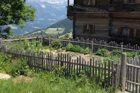 Bauerngarten Bauerngarten Garten Zengarten