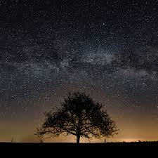 Those stars are adorable and shines brightly in the think carefully so the path will not be blocked by connecting other stars. When The Stars Are Out Of Alignment The New York Times