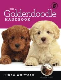 If you have a goldendoodle puppy, determining what size crate for a easily damaged and destroyed by scratching and chewing. The Goldendoodle Handbook The Essential Guide For New Prospective Goldendoodle Owners Whitwam Linda 9781535247290 Amazon Com Books