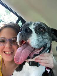 Though Darla was upset I didn't let her drive to the dog park, I think she  ended up being more than happy sitting with her BFF. My daughter, Melody,  is inseparable from