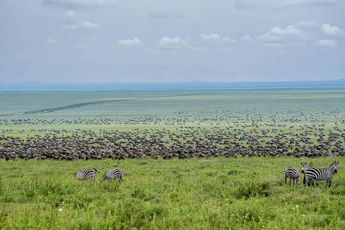 Ngorongoro Crater