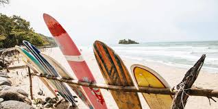 Based out of the south bay in los angeles, california, south bay board co. Beginner Surfboard Guide Get The Best Board For You Stoked For Travel