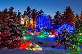 Denver botanic gardens + join group. Denver Botanic Gardens Denver Travel Colorado Vacation Colorado Travel