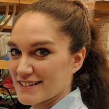 HIV-1 envelope glycan modification ...