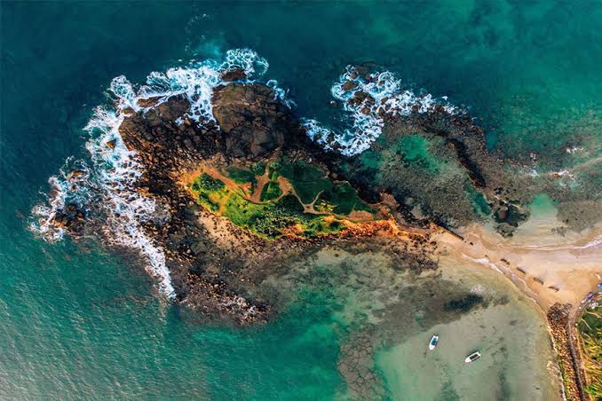 Parrot Rock