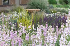 It's an efficient way to landscape with native plants that require minimal water. Xeriscape A To X The Plantium