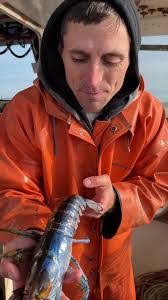 Jacob Fish's Instagram, Twitter & Facebook