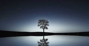 We did not find results for: 10 Inner Peace Quotes To Help You Through Your Challenges