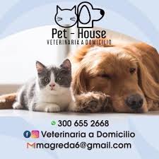 Pet House - Veterinaria A Domicilio Pasto