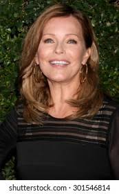 4+ Thousand Gavin Royalty-Free Images, Stock Photos & Pictures